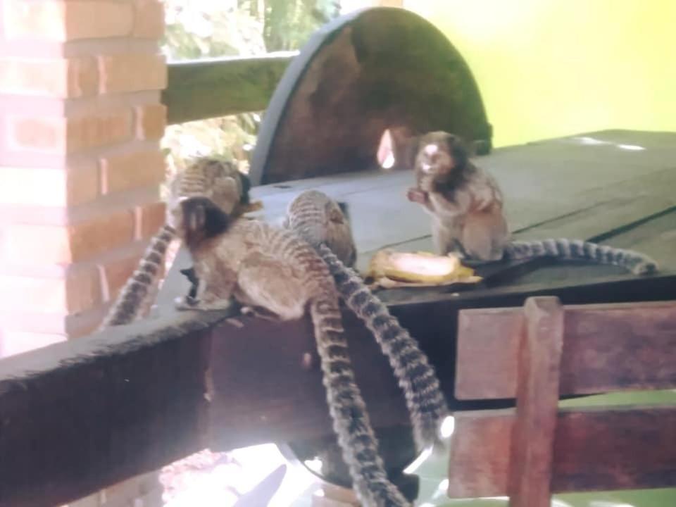 Pousada Do Sossego Conceição da Ibitipoca Esterno foto