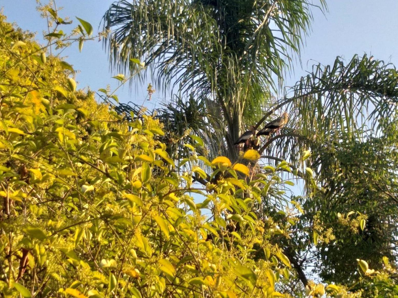 Pousada Do Sossego Conceição da Ibitipoca Camera foto